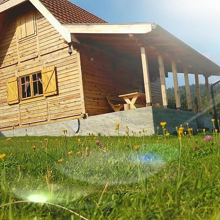 Brvnara Tara Bajina Basta Exterior foto