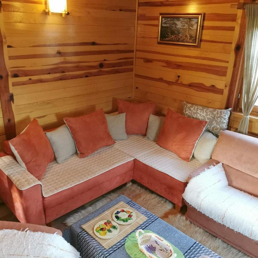 Brvnara Tara Bajina Basta Exterior foto